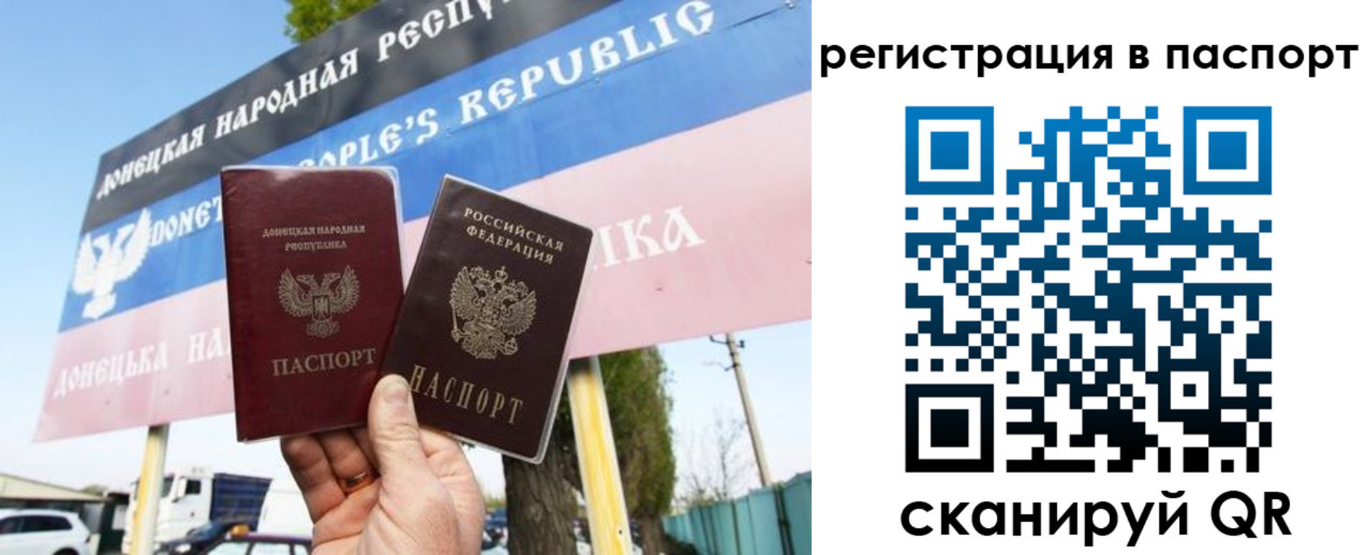 прописка поиск в Щиграх